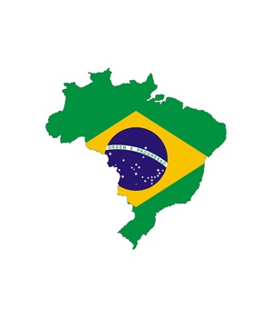 ブラジル関連ポートフォリオ完成！将来のダブルバガー期待銘柄順調スタート！